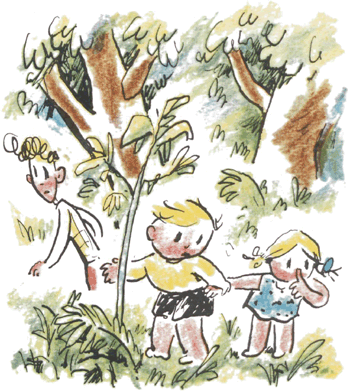 illustratie