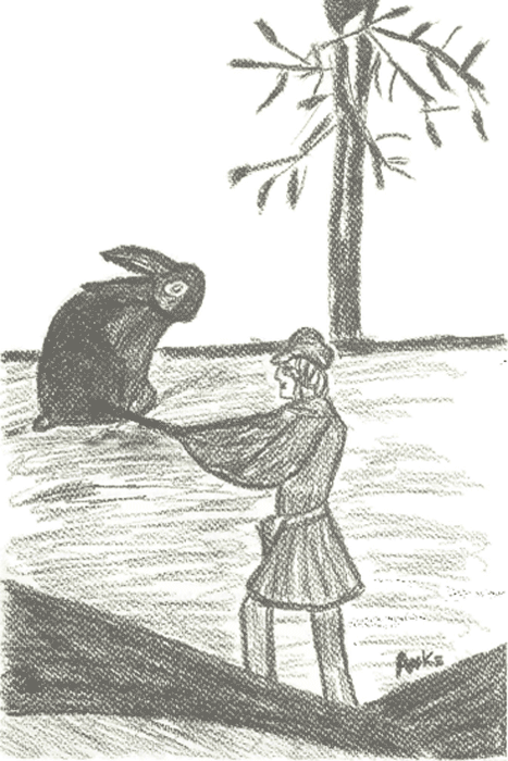 illustratie