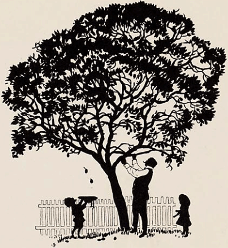 illustratie