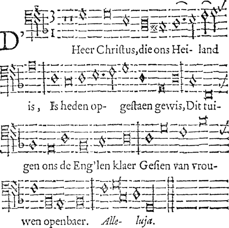 illustratie