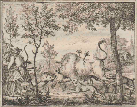 illustratie