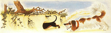 illustratie