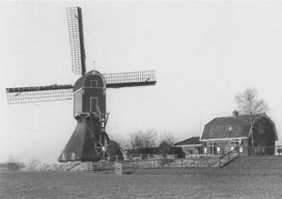 illustratie