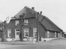 illustratie