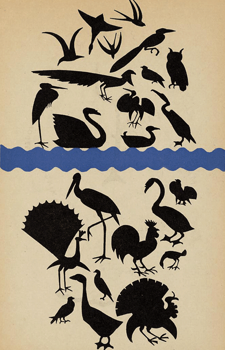illustratie