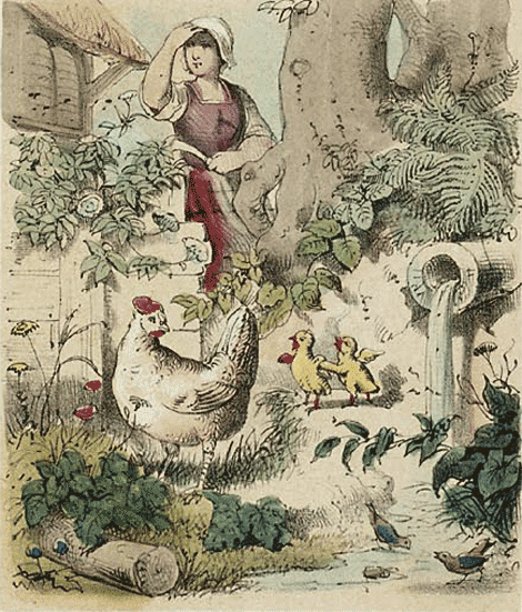 illustratie