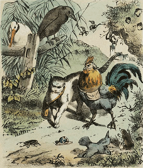 illustratie