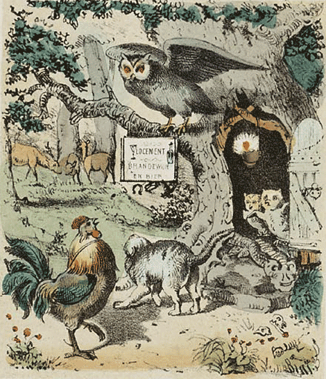 illustratie