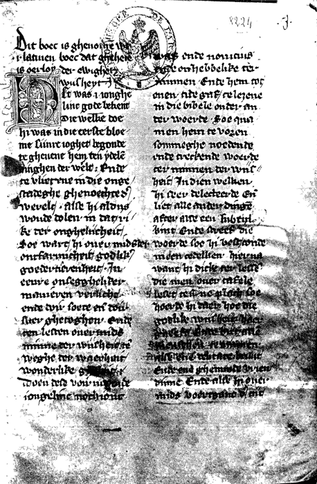 illustratie