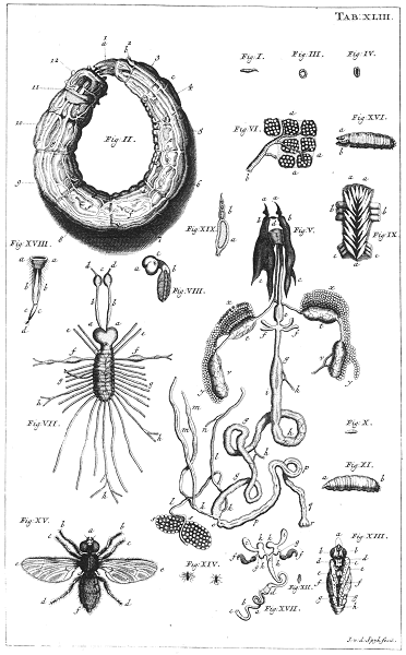 illustratie