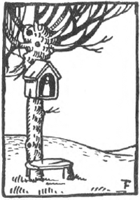 illustratie