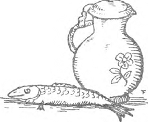 illustratie