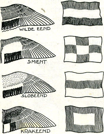 illustratie