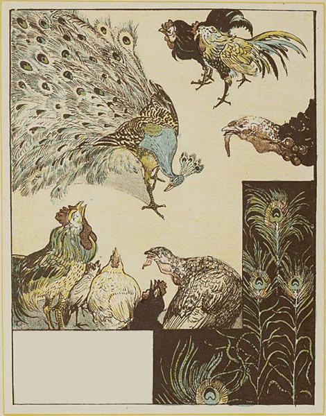 illustratie