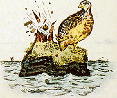 illustratie