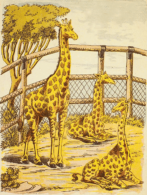 illustratie