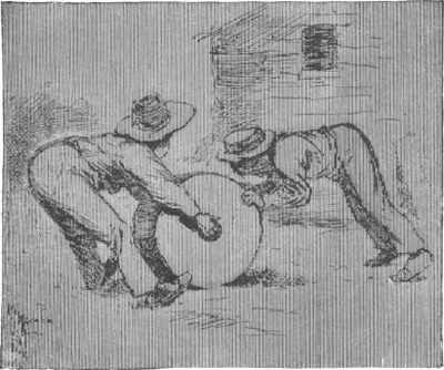 illustratie
