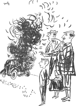 illustratie