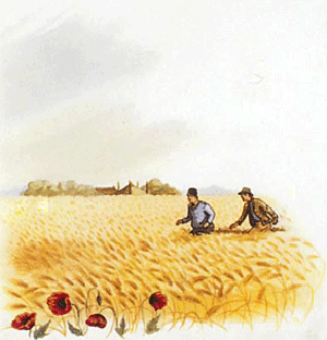 illustratie