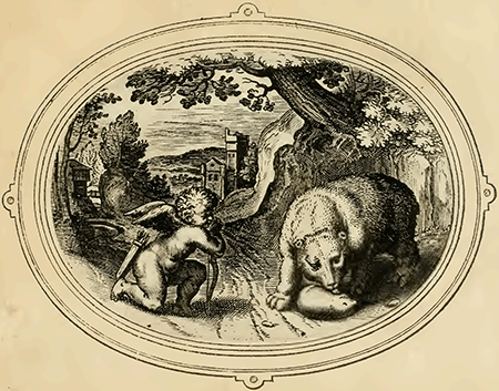 illustratie