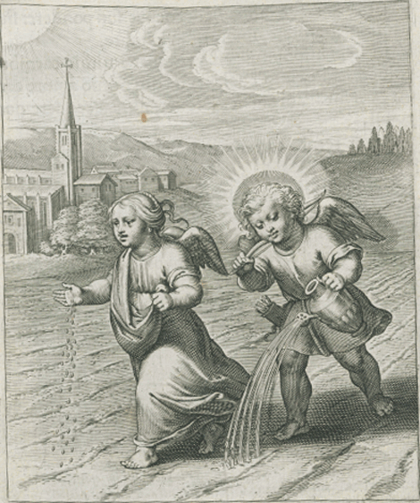 illustratie