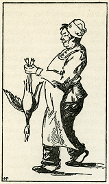 illustratie