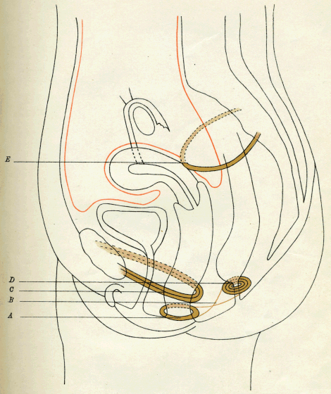 illustratie