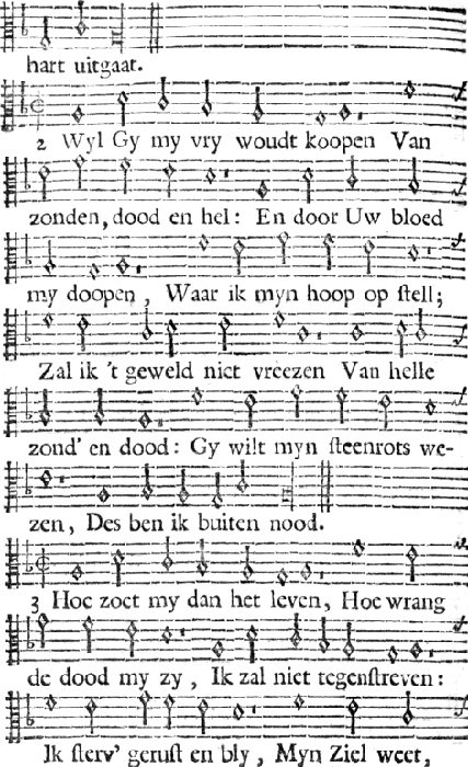 illustratie