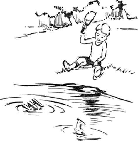 illustratie