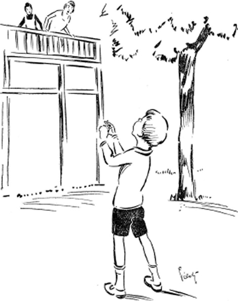 illustratie