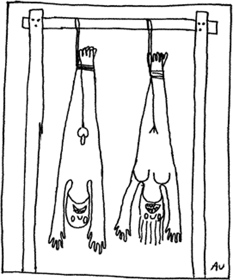 illustratie