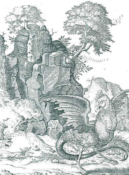 illustratie