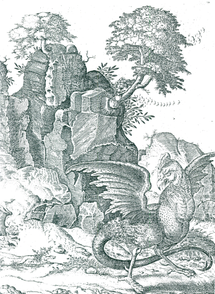 illustratie