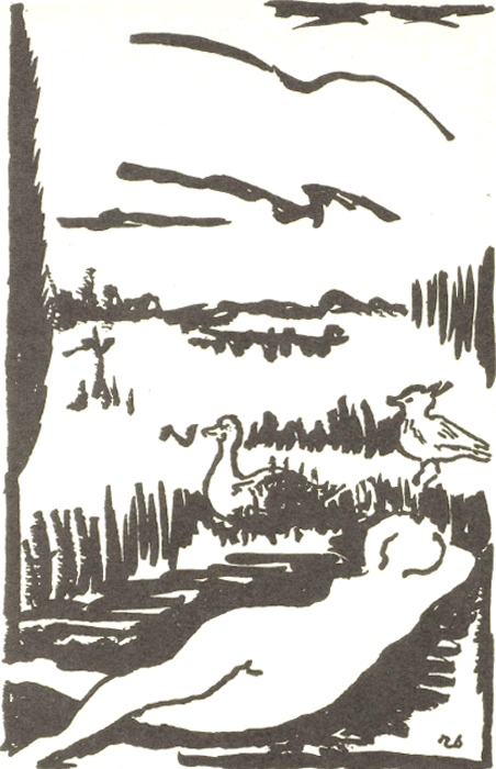 illustratie