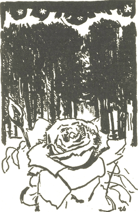 illustratie