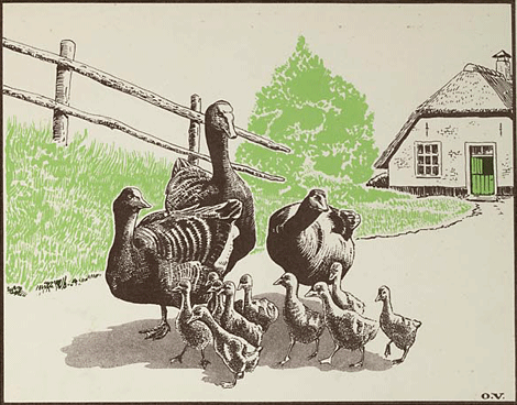 illustratie