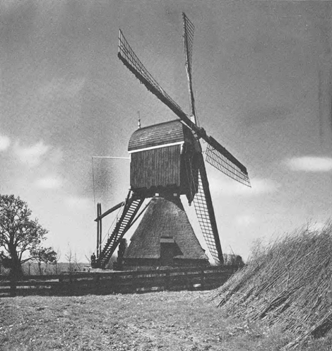 illustratie