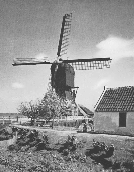 illustratie
