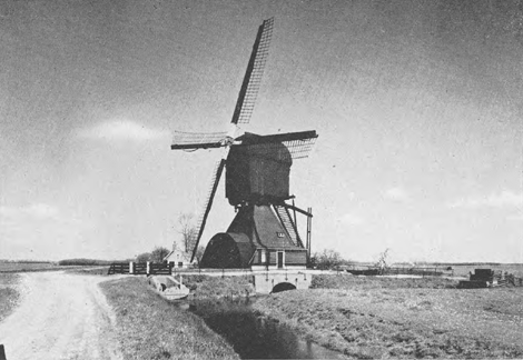 illustratie