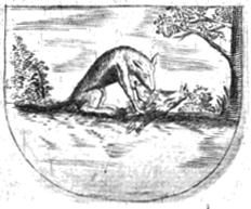 illustratie