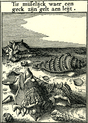 illustratie