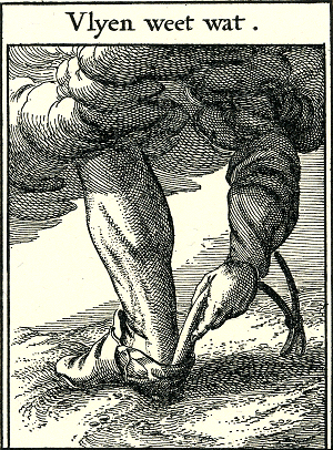 illustratie