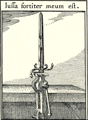 illustratie