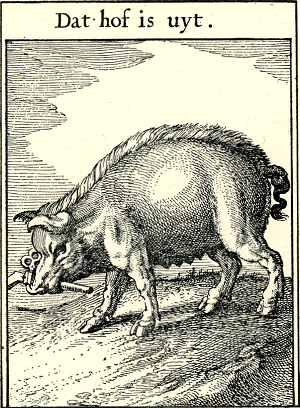 illustratie