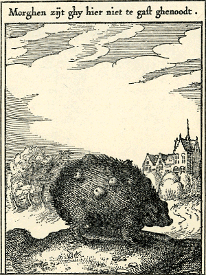 illustratie