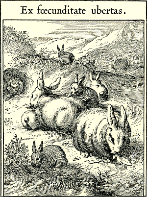 illustratie