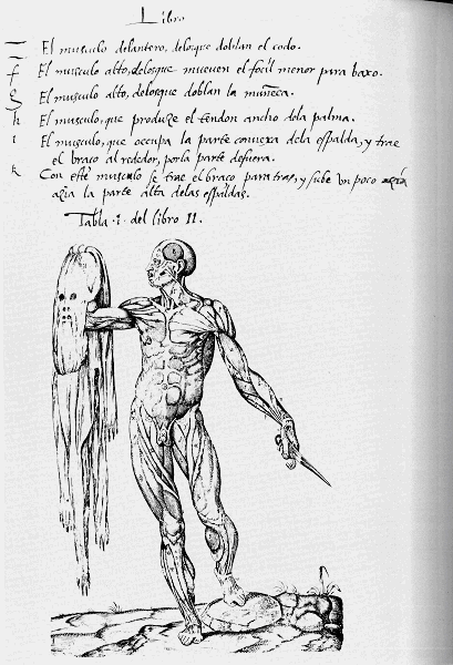 illustratie