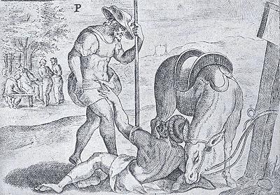 illustratie