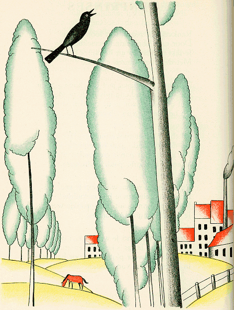illustratie