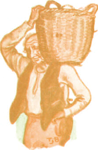 illustratie